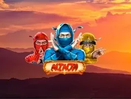 Ninja game screenshot